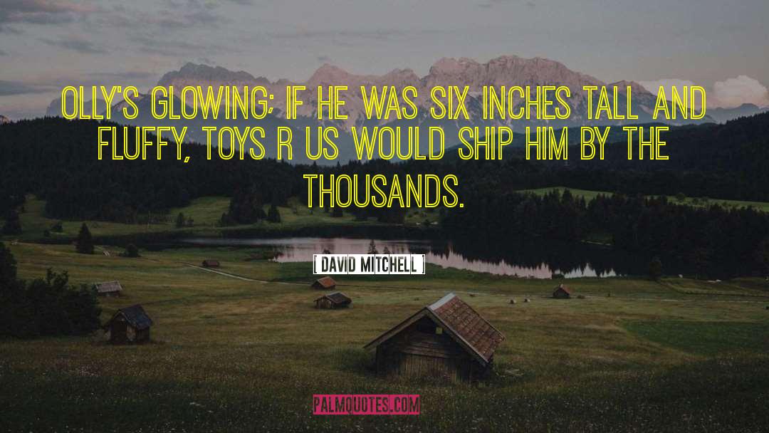 Cavalluccio Toys quotes by David Mitchell