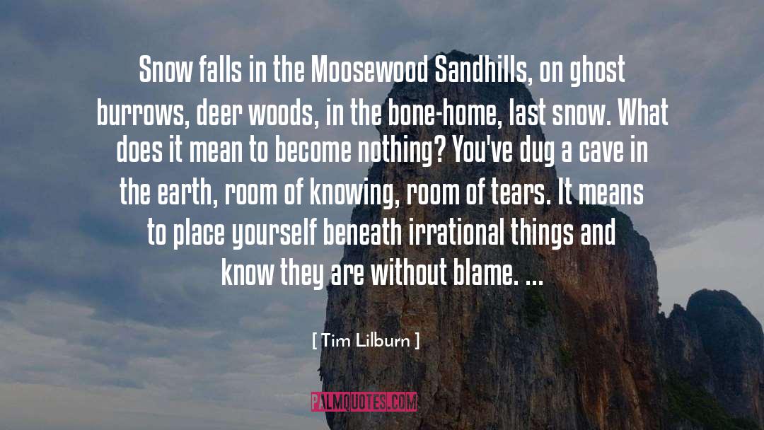 Cave In quotes by Tim Lilburn