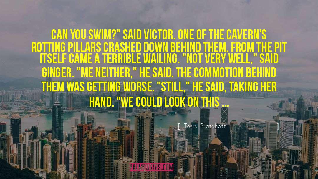 Caverns quotes by Terry Pratchett