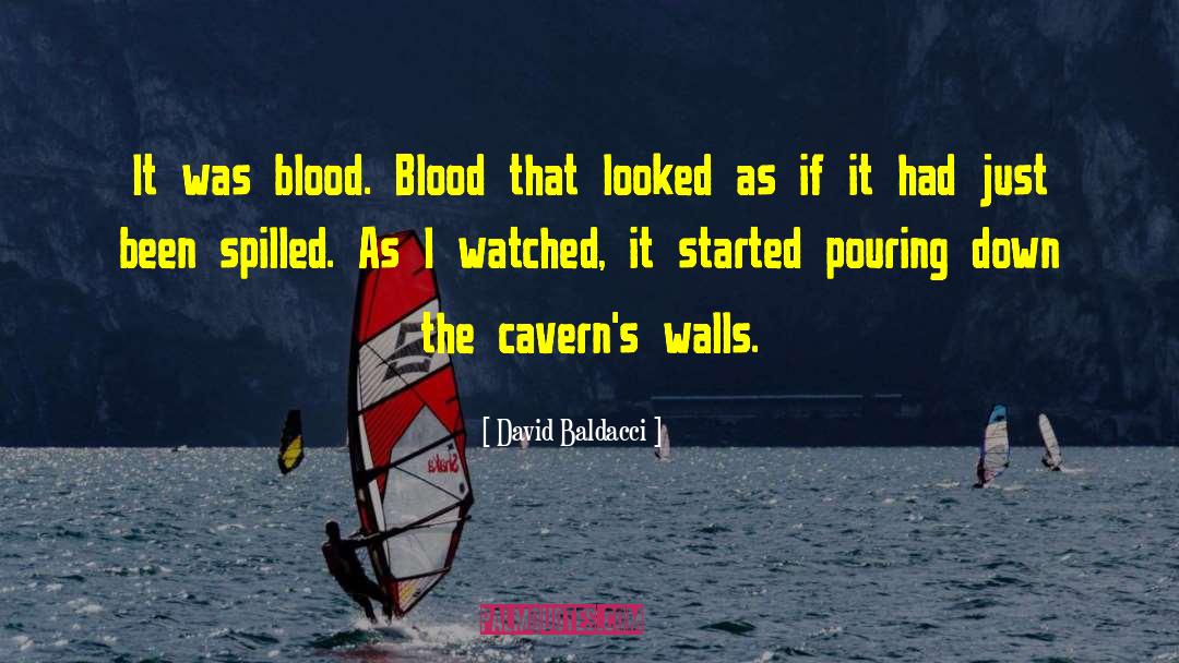 Caverns quotes by David Baldacci