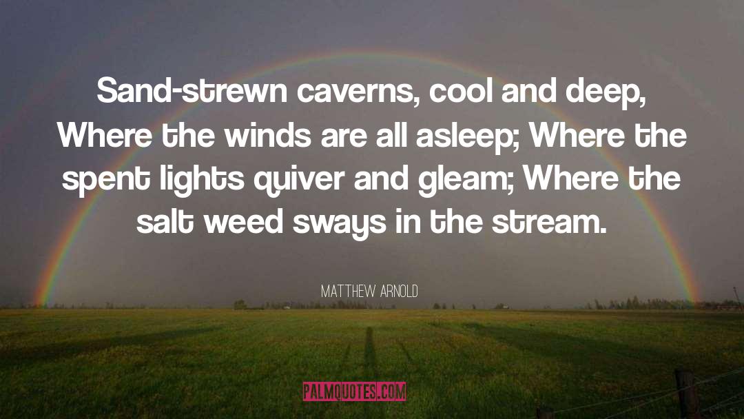 Caverns quotes by Matthew Arnold