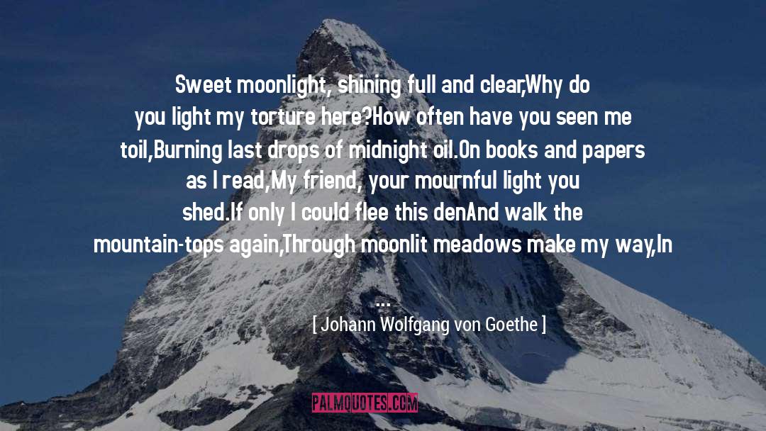 Caves quotes by Johann Wolfgang Von Goethe