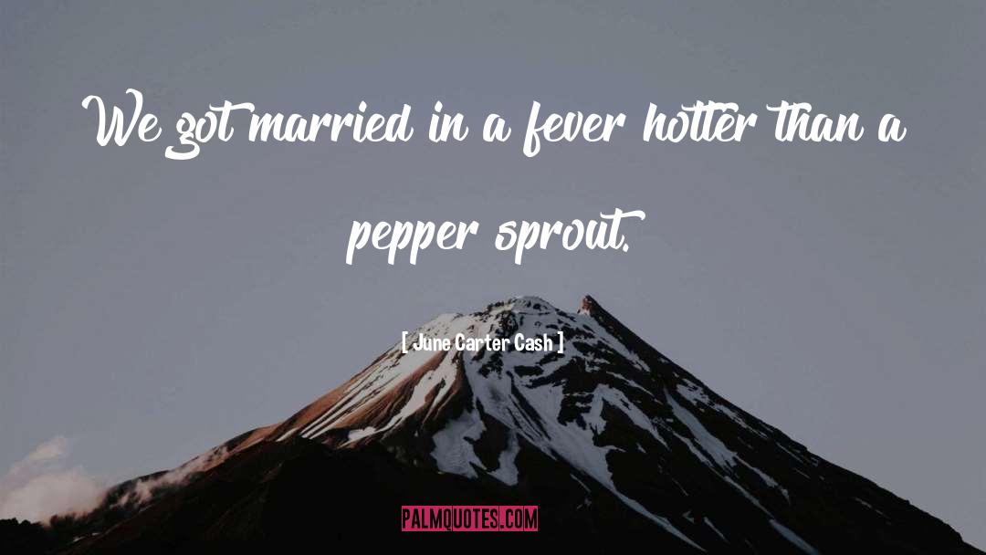 Cayenne Pepper quotes by June Carter Cash