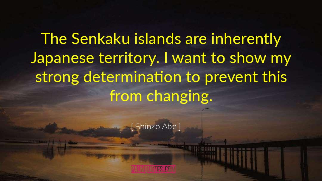 Cayman Islands quotes by Shinzo Abe