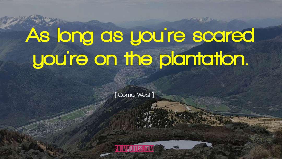 Cazenave Plantation quotes by Cornal West