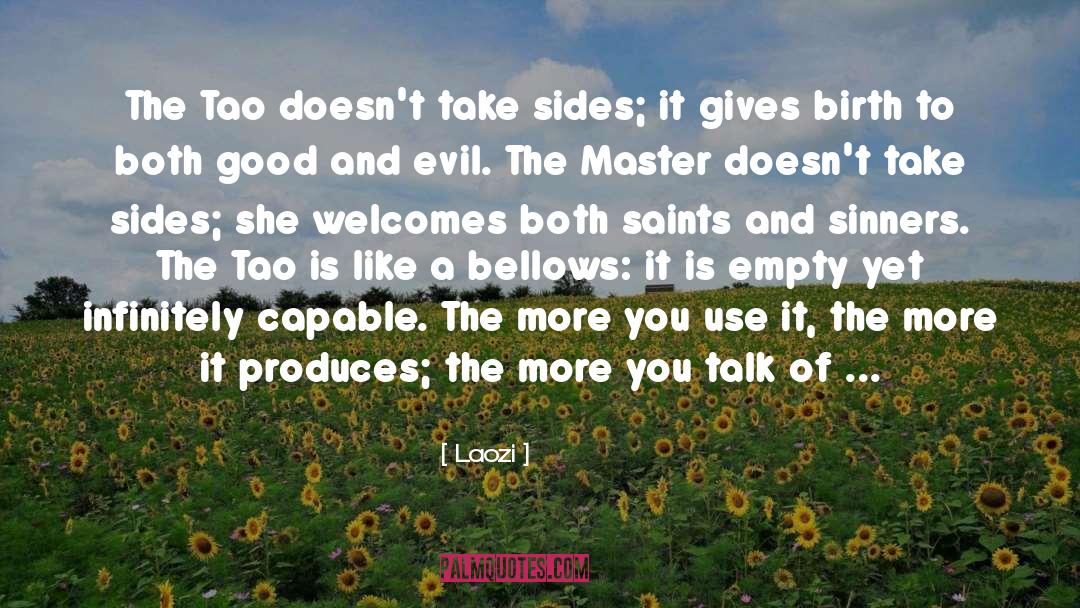 Cease To Talk quotes by Laozi