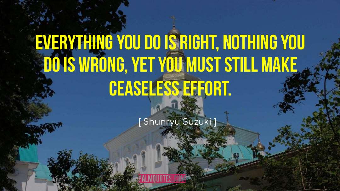 Ceaseless quotes by Shunryu Suzuki