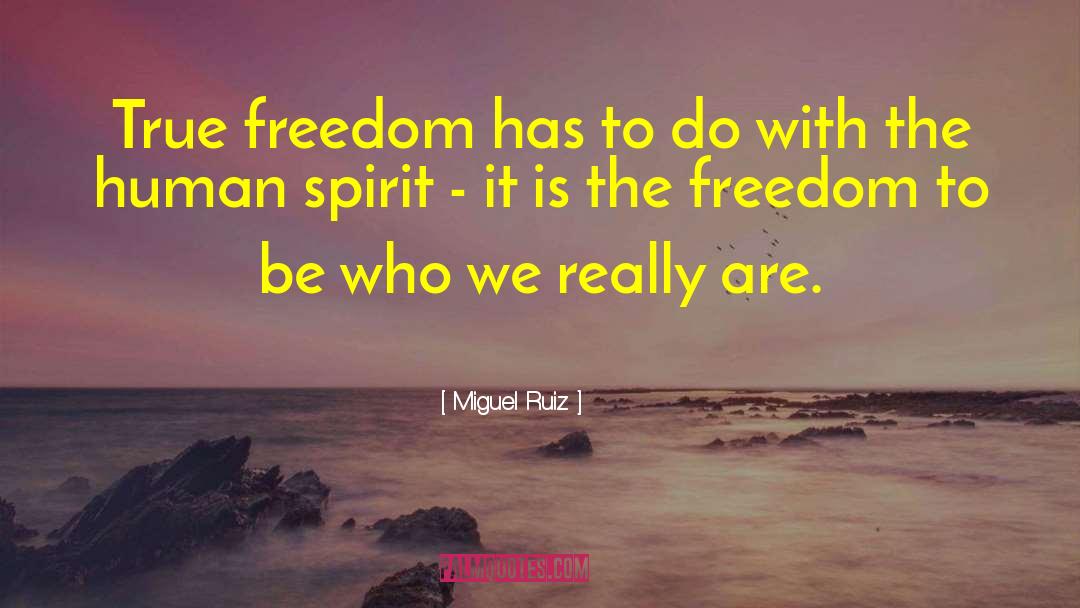 Cecilia Ruiz quotes by Miguel Ruiz