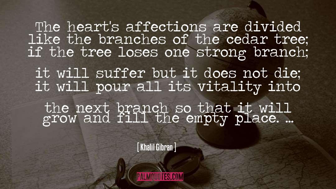 Cedar quotes by Khalil Gibran