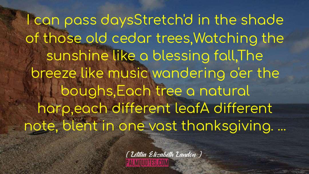 Cedar quotes by Letitia Elizabeth Landon