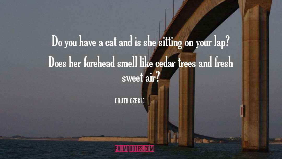 Cedar quotes by Ruth Ozeki