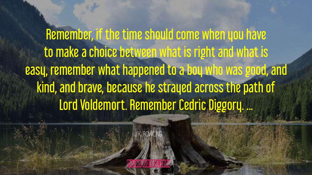 Cedric Diggory quotes by J.K. Rowling