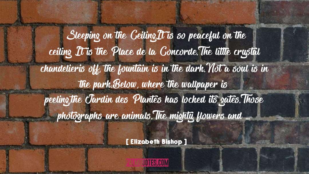 Ceiling quotes by Elizabeth Bishop