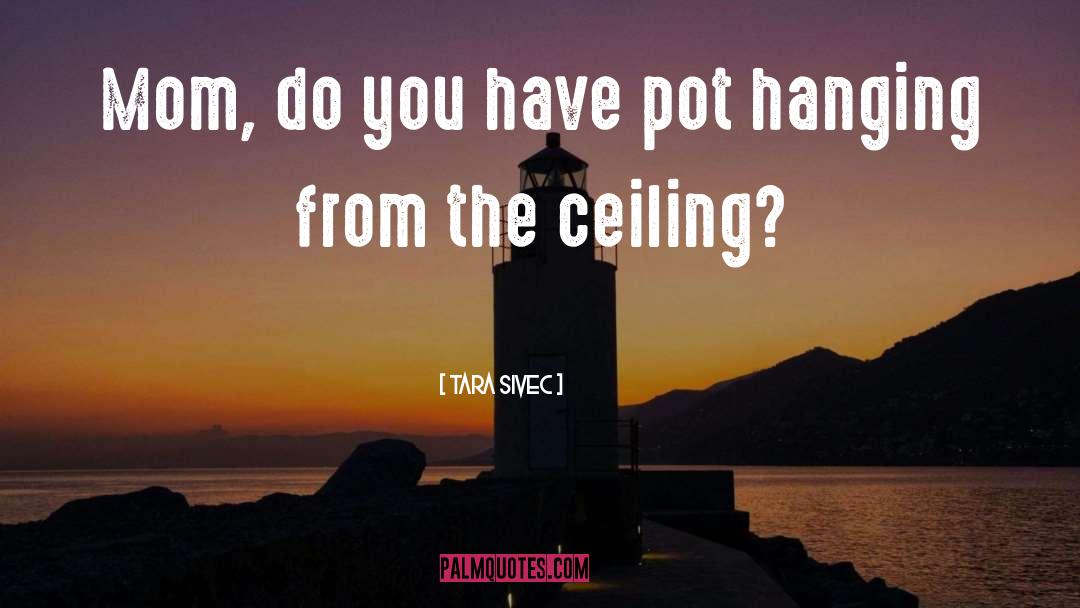 Ceiling quotes by Tara Sivec