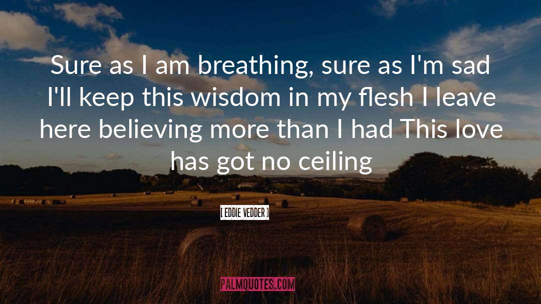 Ceilings quotes by Eddie Vedder