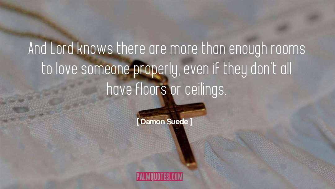 Ceilings quotes by Damon Suede