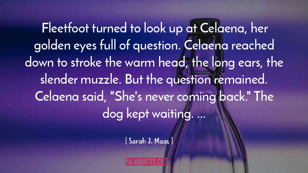 Celaena quotes by Sarah J. Maas