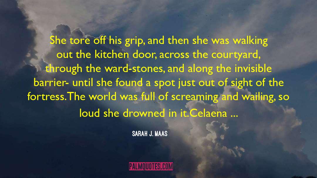 Celaena quotes by Sarah J. Maas