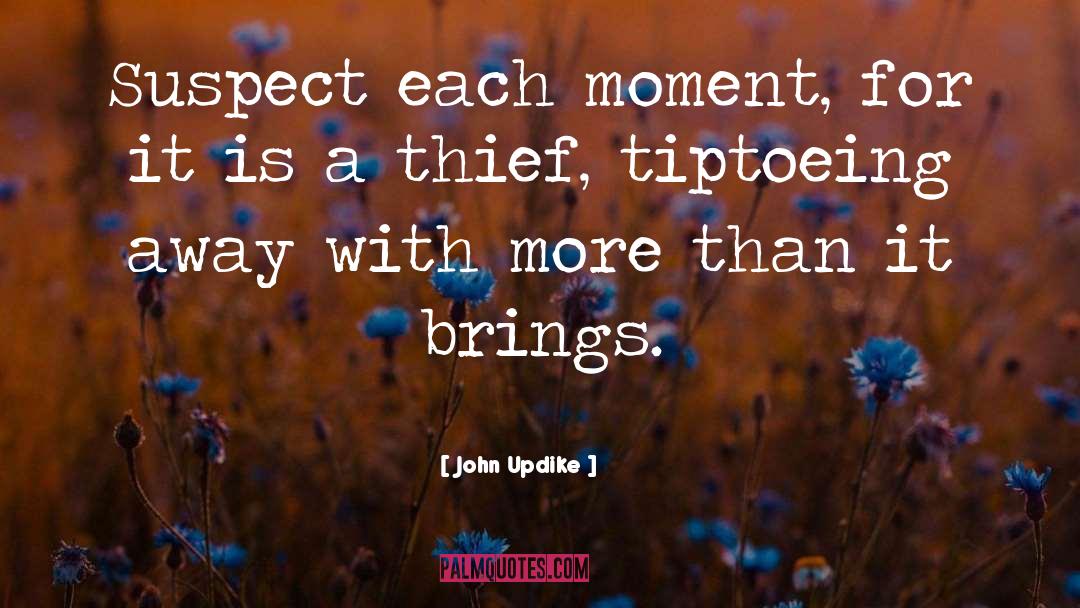 Celebrate Each Moment quotes by John Updike