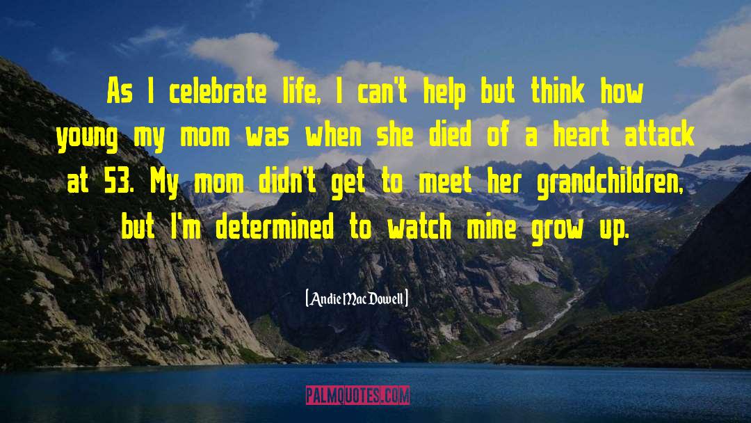 Celebrate Life quotes by Andie MacDowell