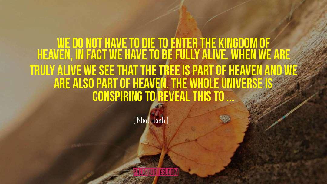 Celebrating Christmas In Heaven quotes by Nhat Hanh