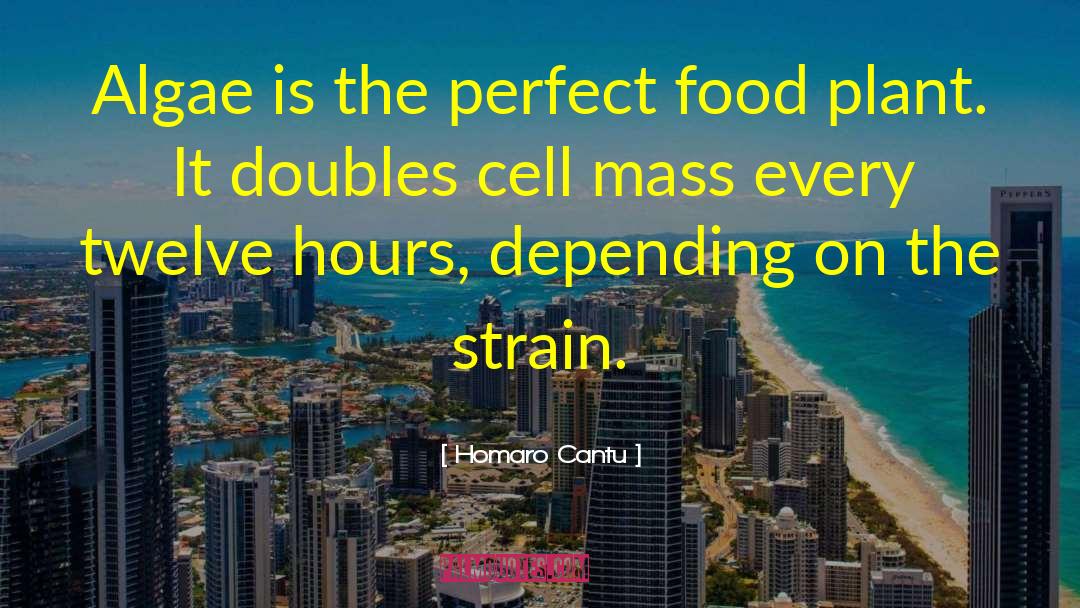 Cell Division quotes by Homaro Cantu