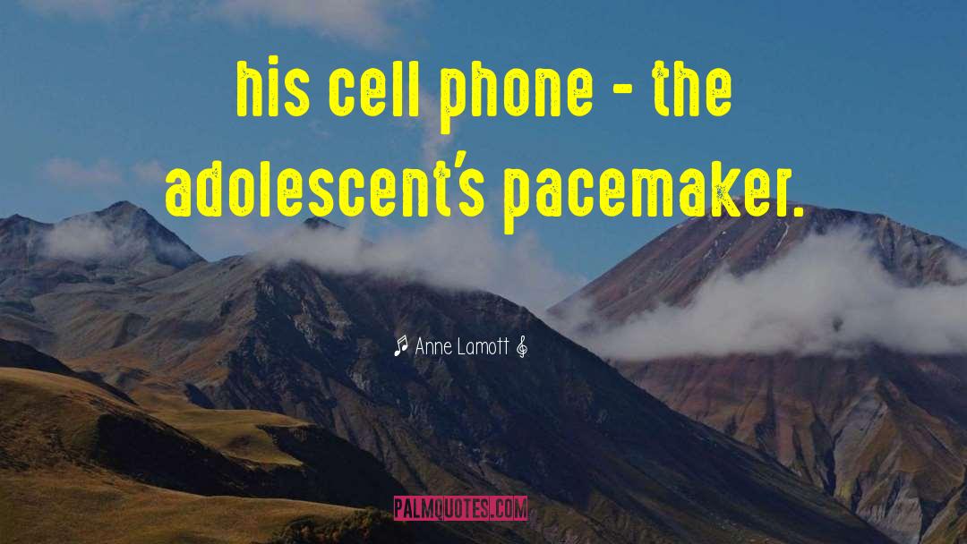 Cell Phone quotes by Anne Lamott