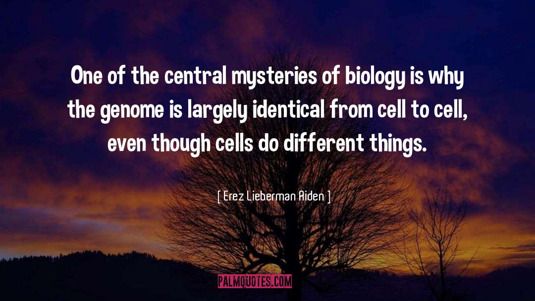 Cell Theory quotes by Erez Lieberman Aiden