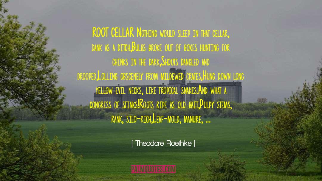 Cellar quotes by Theodore Roethke