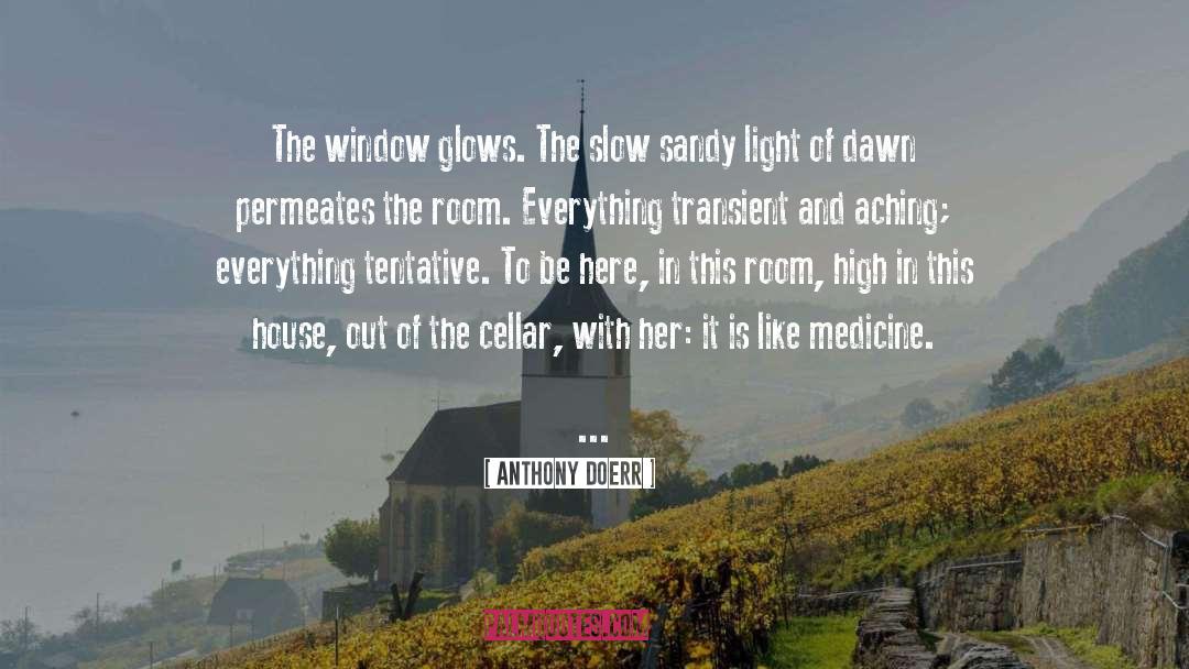 Cellar quotes by Anthony Doerr