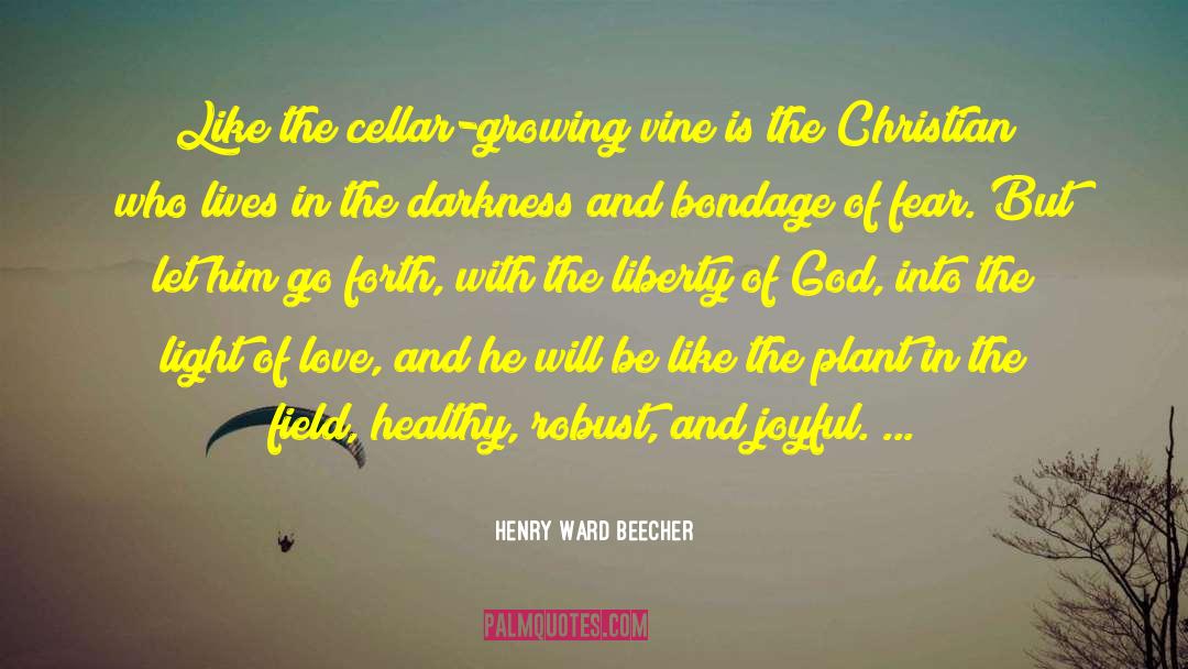 Cellars quotes by Henry Ward Beecher