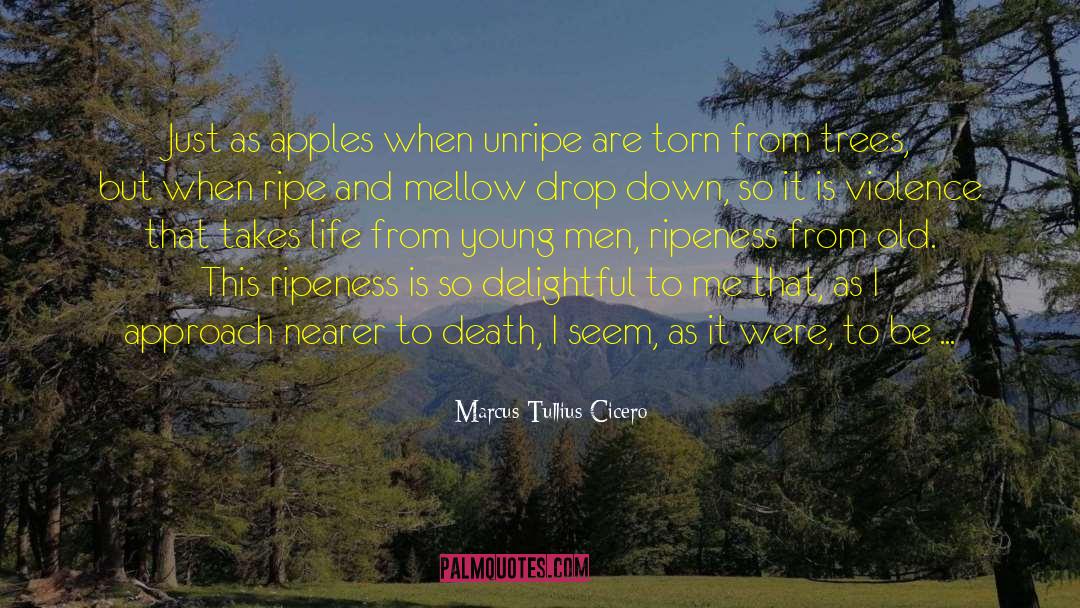 Cello Mellow quotes by Marcus Tullius Cicero