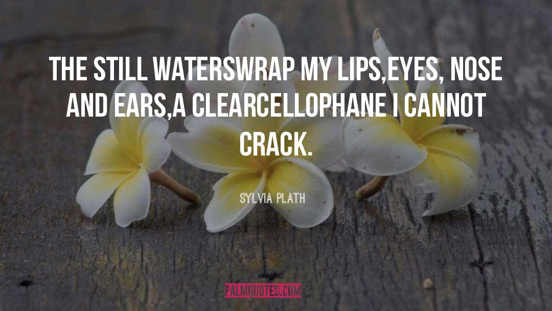 Cellophane quotes by Sylvia Plath