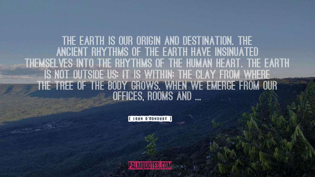 Cells In Our Body quotes by John O'Donohue