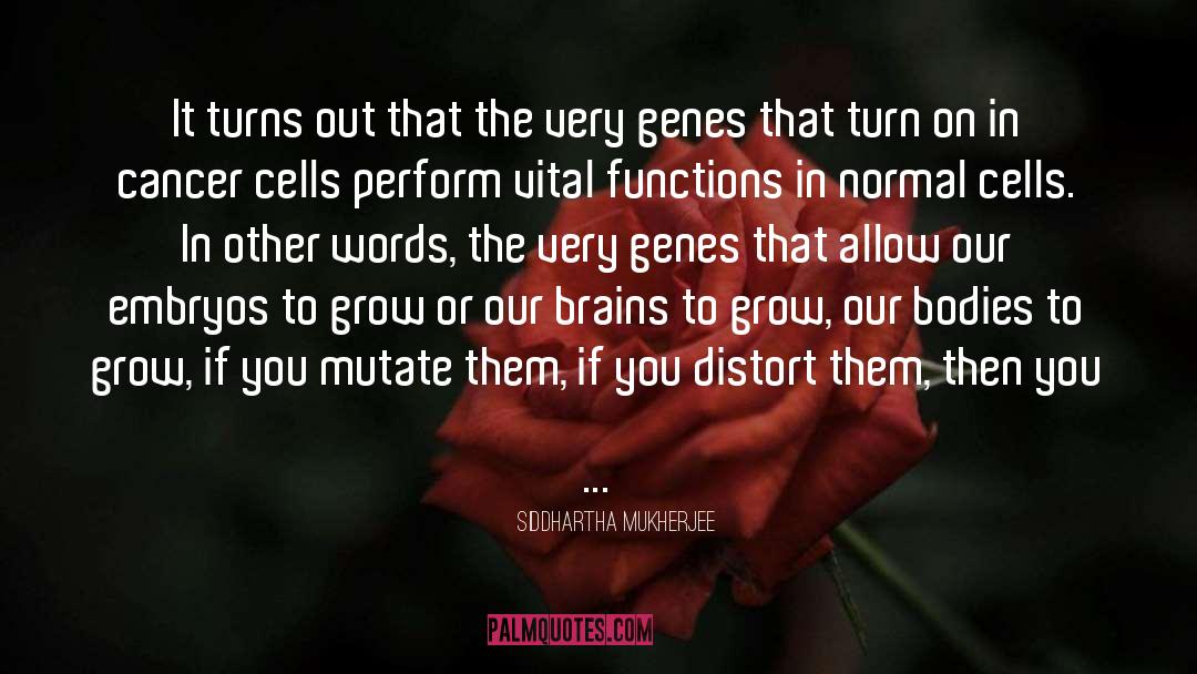 Cells quotes by Siddhartha Mukherjee