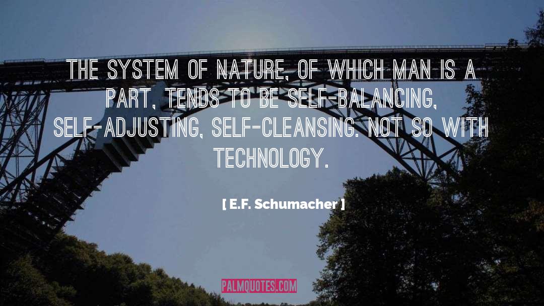 Cellular Self Cleansing quotes by E.F. Schumacher