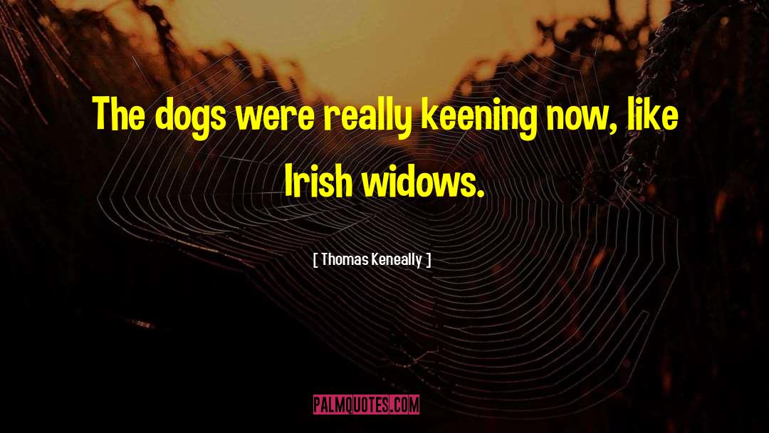 Celtic Mythology Irish quotes by Thomas Keneally