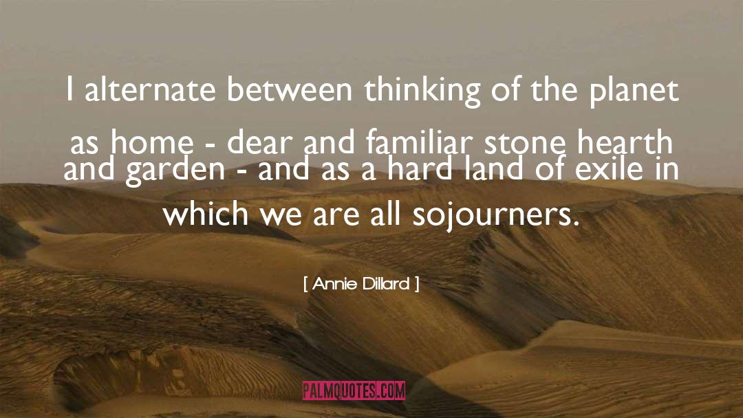 Celtic Stones quotes by Annie Dillard