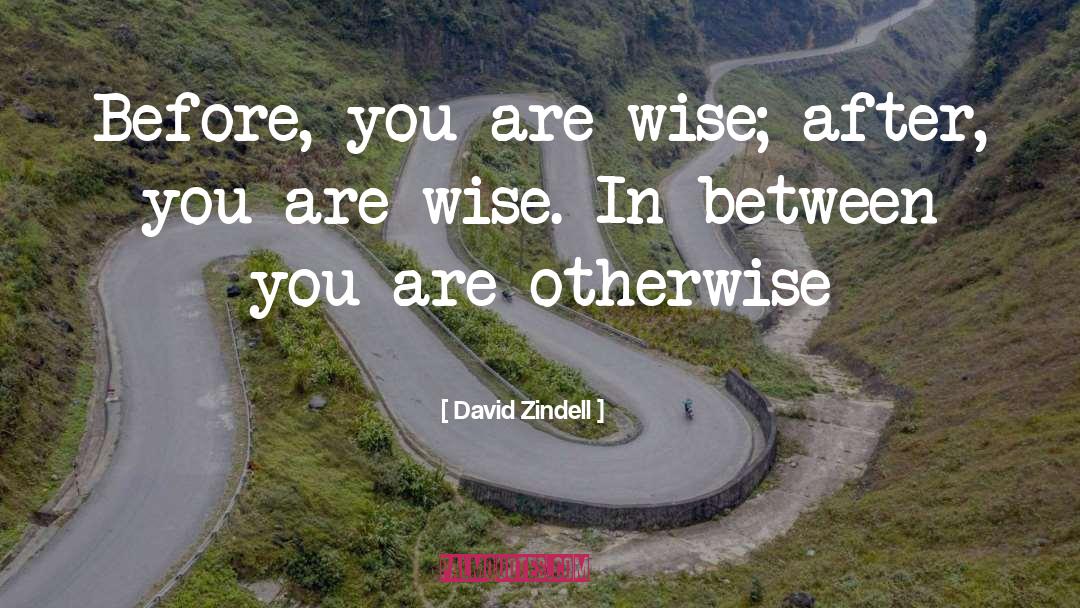 Celtic Wisdom quotes by David Zindell