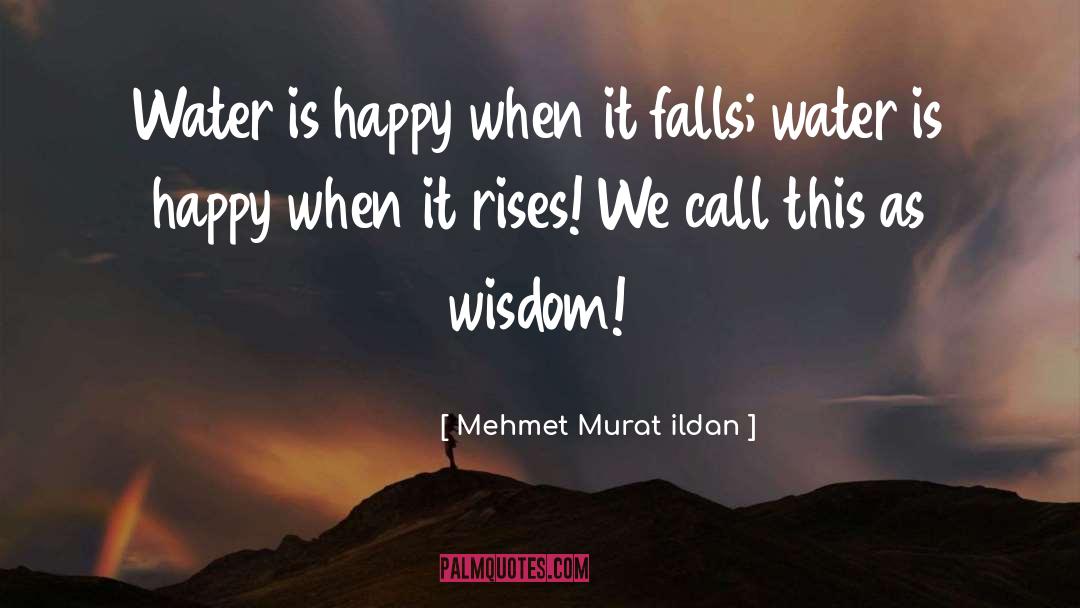 Celtic Wisdom quotes by Mehmet Murat Ildan
