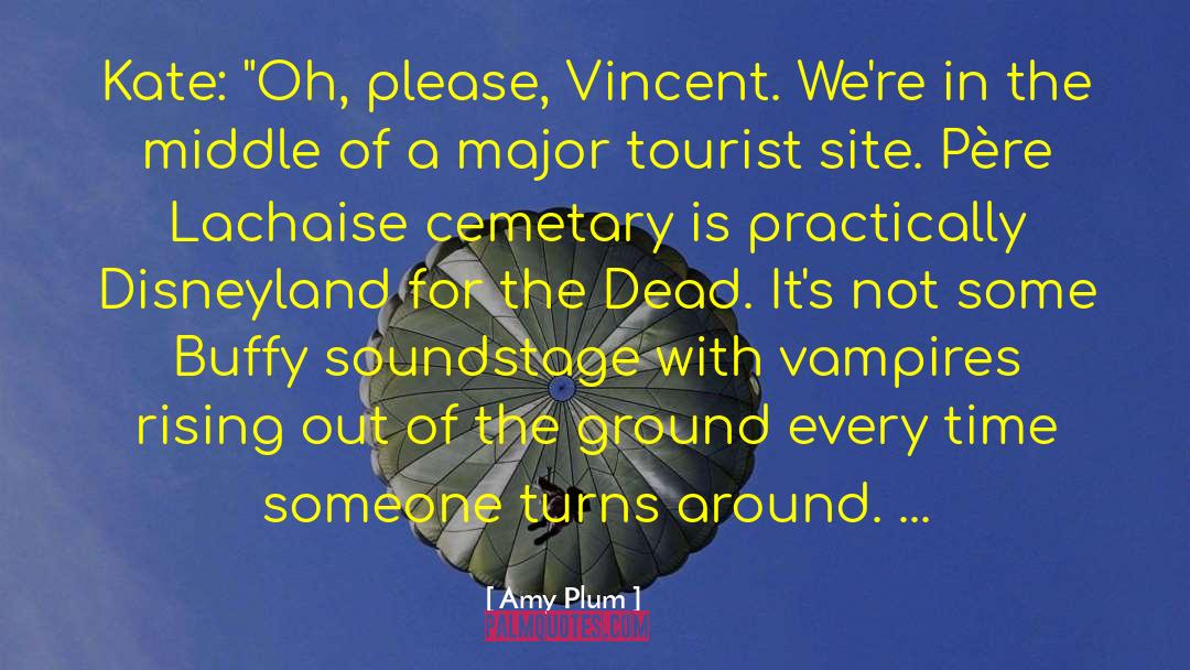 Cemetary quotes by Amy Plum