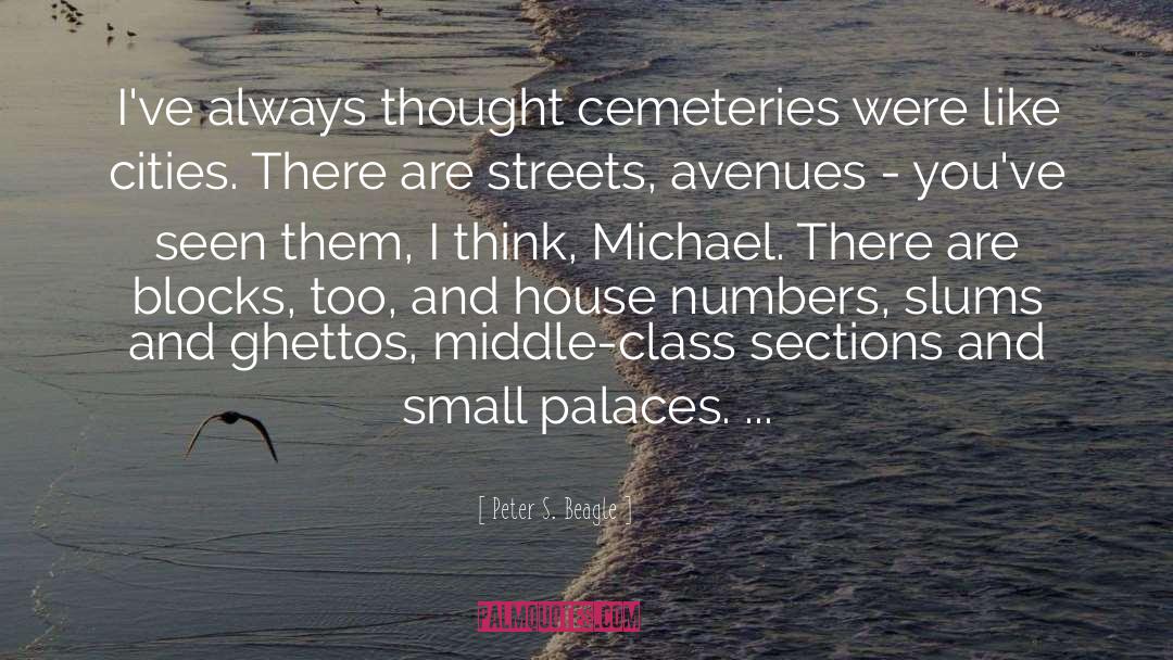 Cemeteries quotes by Peter S. Beagle