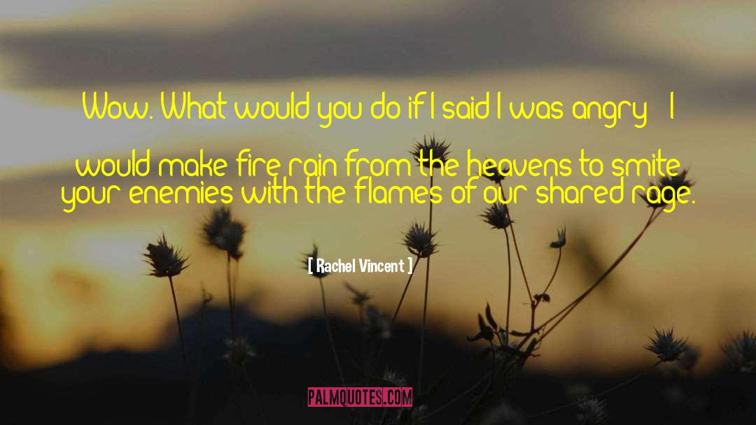 Cemetery Of The Heavens quotes by Rachel Vincent