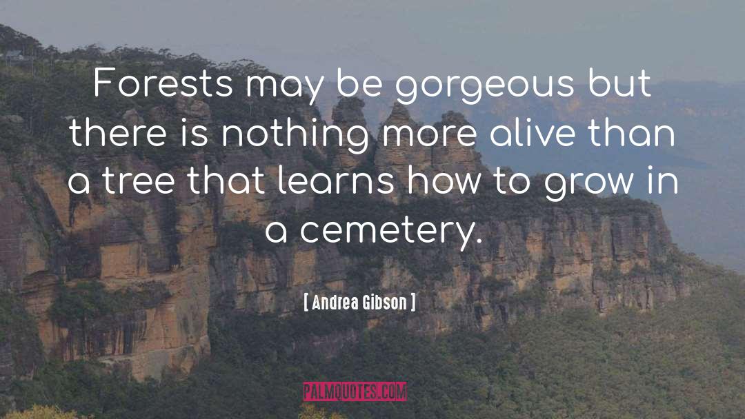 Cemetery quotes by Andrea Gibson