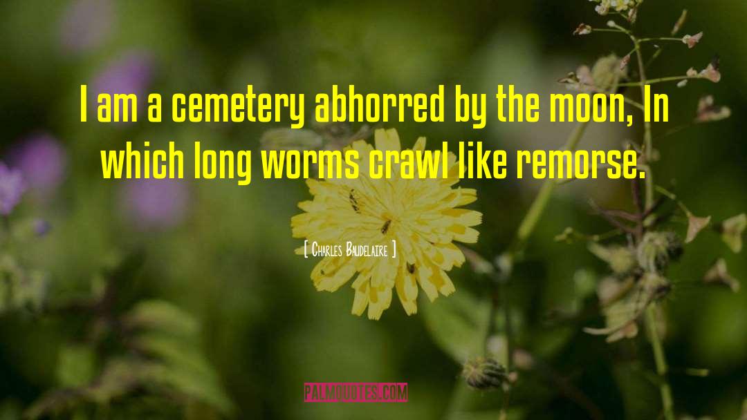 Cemetery quotes by Charles Baudelaire