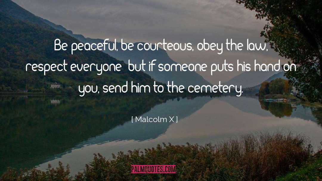 Cemetery quotes by Malcolm X