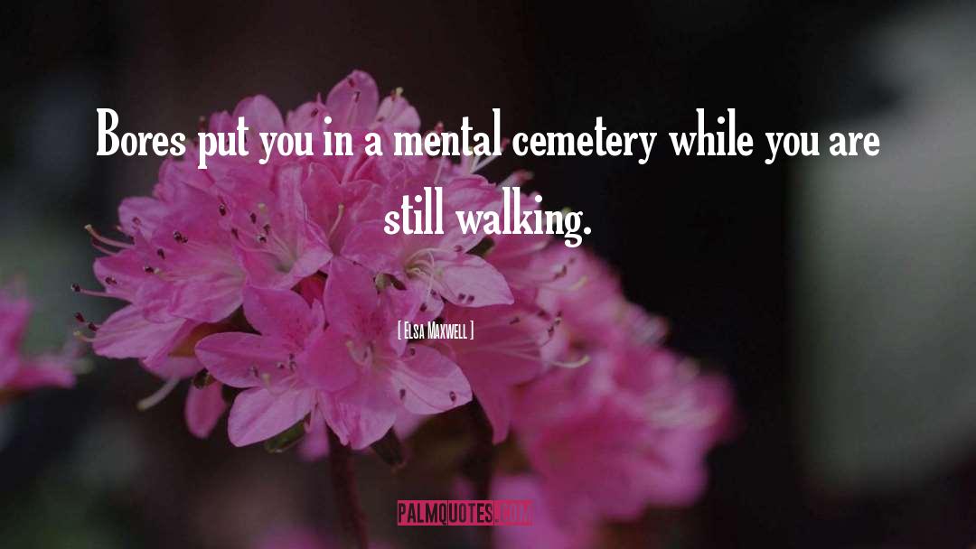 Cemetery quotes by Elsa Maxwell