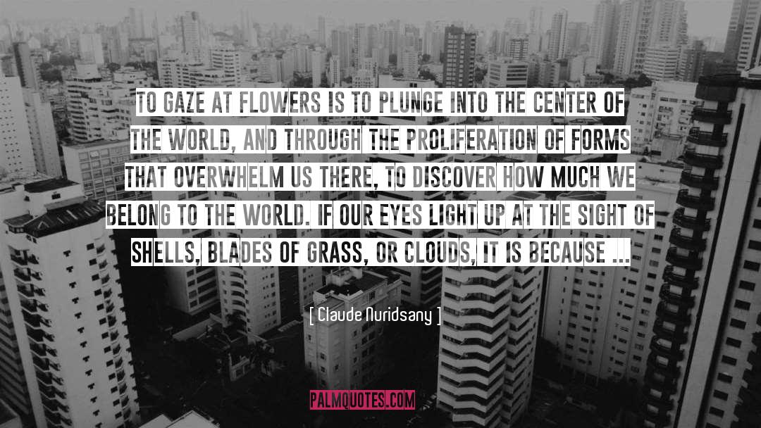 Center Of The World quotes by Claude Nuridsany