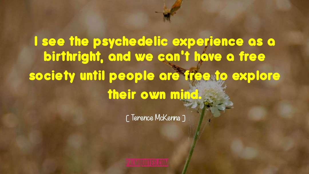 Centerpieces quotes by Terence McKenna