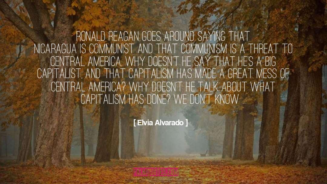 Central America quotes by Elvia Alvarado